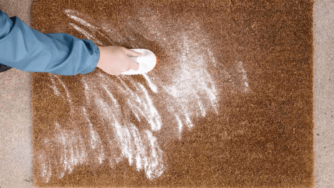 Comment Nettoyer Un Paillasson ? - Mon Tapis Design