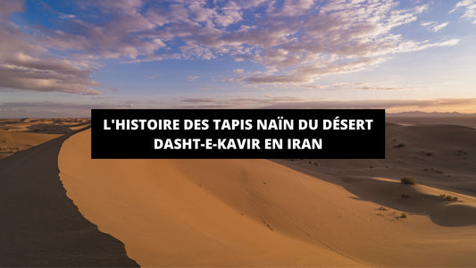 L'histoire des tapis Naïn du désert Dasht-e-Kavir en Iran - Mon Tapis Design