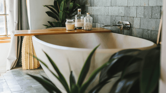 Quelle Plante Dans Une Salle De Bain ? - Mon Tapis Design