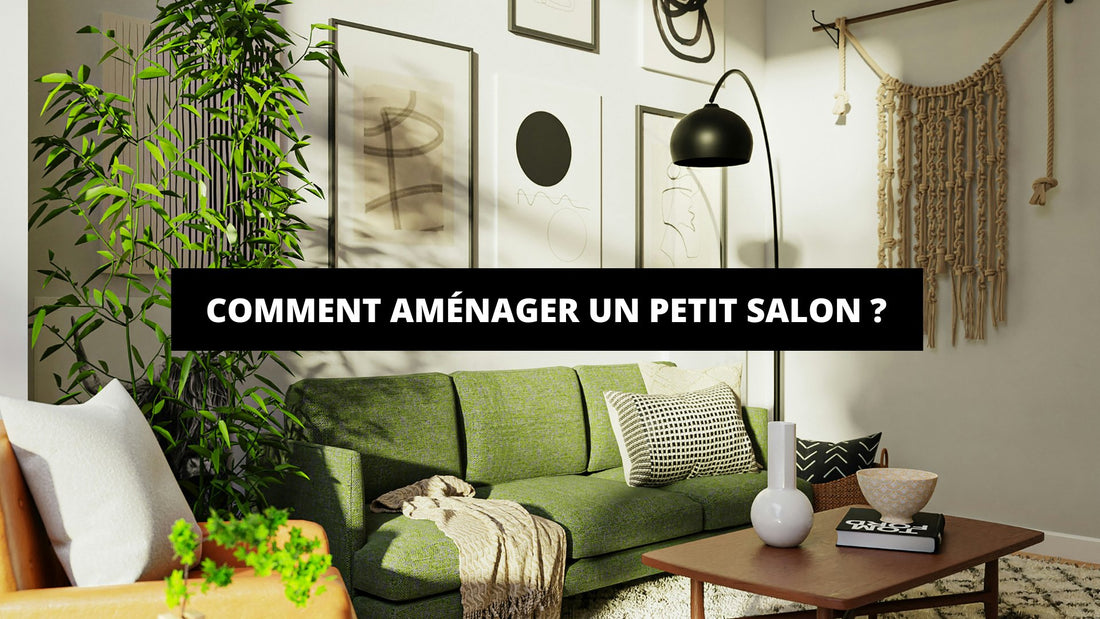 Comment Aménager Un Petit Salon ? - Mon Tapis Design