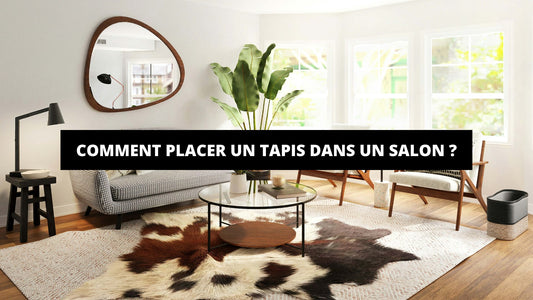 Comment Placer Un Tapis Dans Un Salon ? - Mon Tapis Design