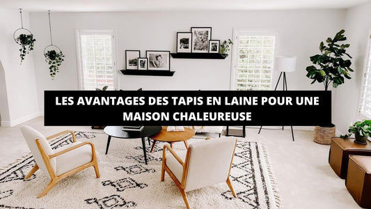 Les Avantages Des Tapis En Laine Pour Une Maison Chaleureuse - Mon Tapis Design