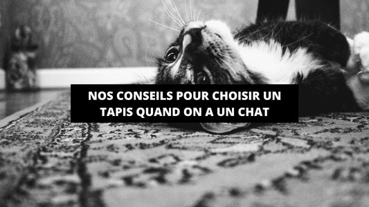 Nos conseils pour choisir un tapis quand on a un chat - Mon Tapis Design