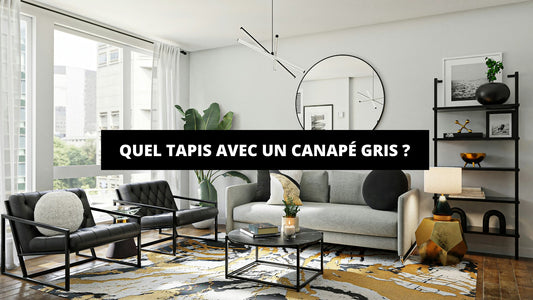 Quel Tapis Avec Canapé Gris ? - Mon Tapis Design